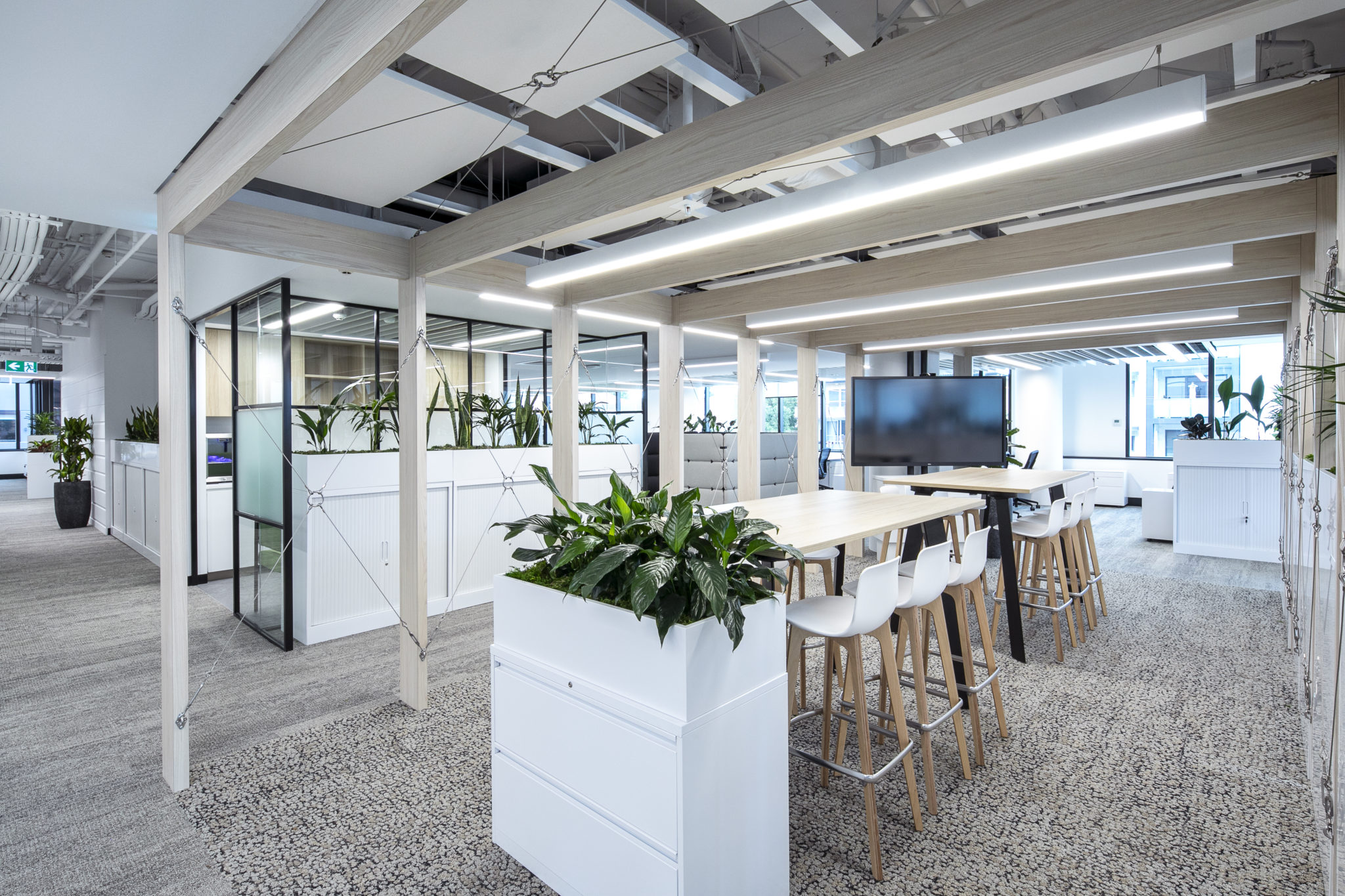 Burwood Council Library & Administration Office - INTREC Management